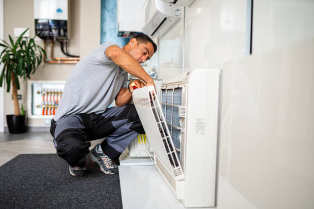 Best Residential Air Duct Cleaning  in Walcott, IA