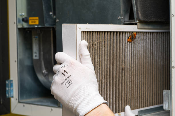 Best HVAC System Cleaning  in Walcott, IA