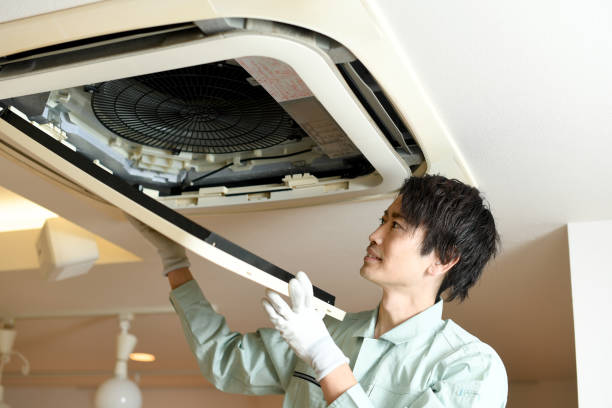 Best Air Duct Cleaning Near Me  in Walcott, IA