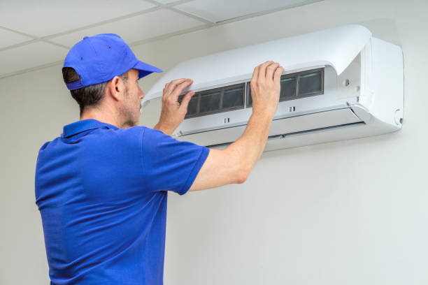 Best Air Duct Mold Removal  in Walcott, IA
